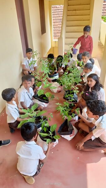 പ്രമാണം:41427 school garden3.jpg