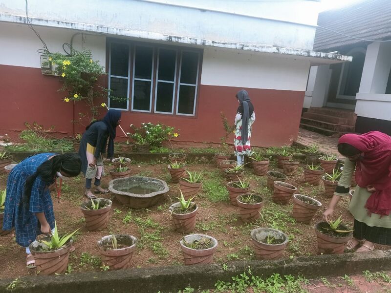 പ്രമാണം:BS21 TSR 24029 5.jpg