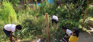 BS24 PKD 20440 2.jpg