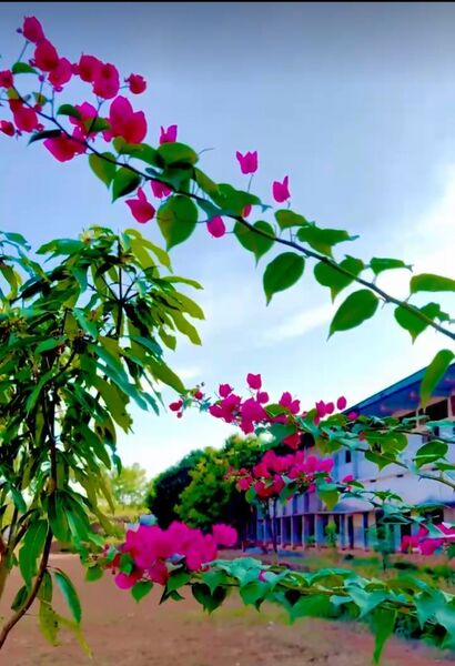 പ്രമാണം:IMG 20250313 185108 (1).jpg