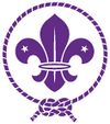 Scout Logo.jpg