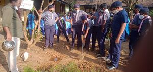 15006 scouts and guides 1.jpeg