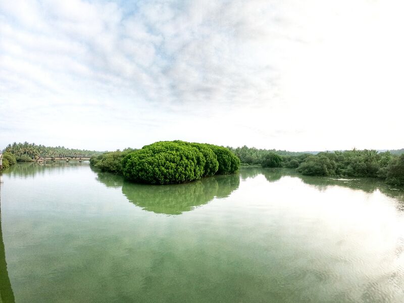 പ്രമാണം:19068 ente gramam 12.jpeg