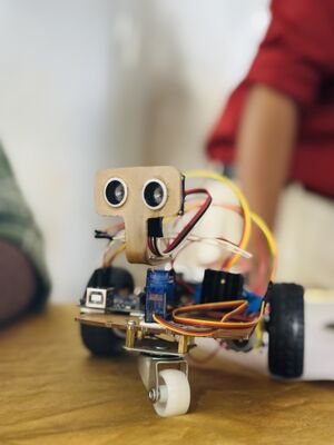 19112lk robotic exhibition 2025-3.JPG