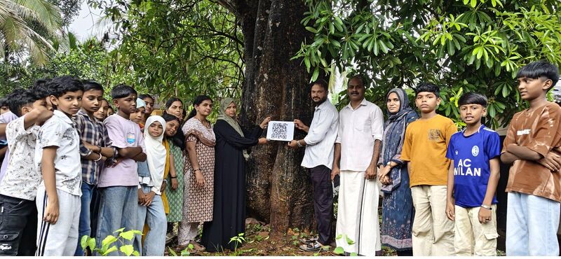 പ്രമാണം:19363 Environment 2 26.jpeg