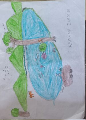 19608-MLP-KUNJ-SHIFANA JASMIN.jpg