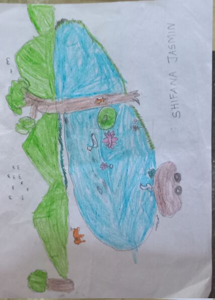 പ്രമാണം:19608-MLP-KUNJ-SHIFANA JASMIN.jpg