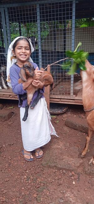 19855 basheer day 2.jpg