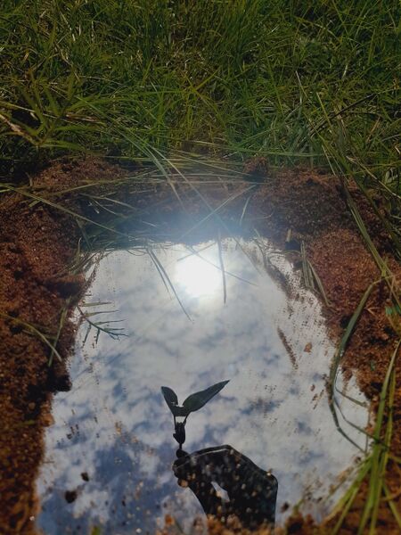 പ്രമാണം:2025-27 .jpg
