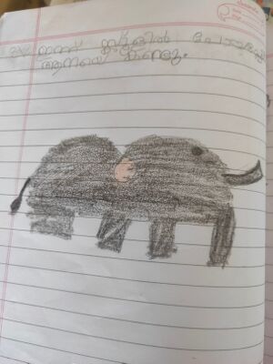 22071-TSR-KUNJ-ADVIK V JITHIN.jpg