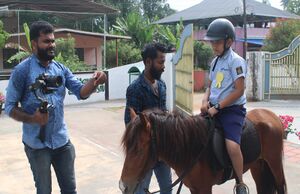 22071 TSR Horse Doordarsan.JPG