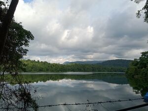 22401-Picture-Peechi Dam.jpg