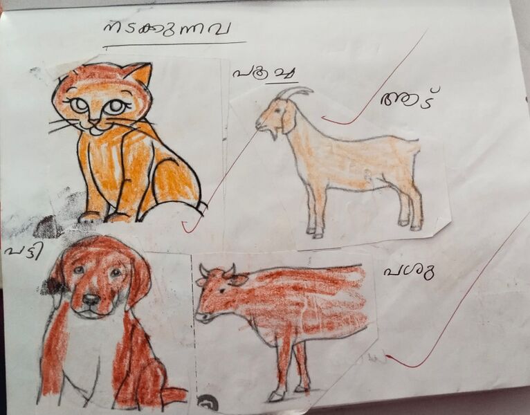 പ്രമാണം:23202-TSR-KUNJ-NIBIN K.jpeg