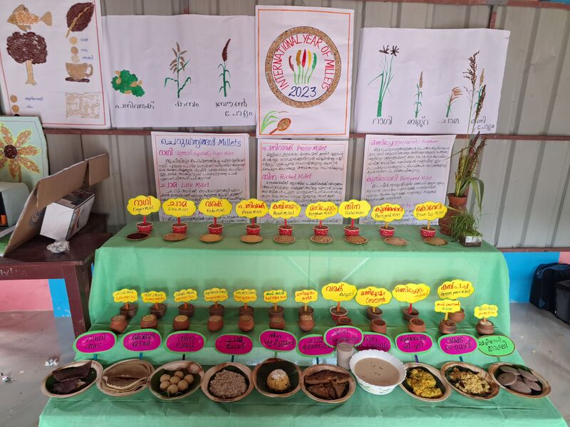 പ്രമാണം:24550 millet4.jpg