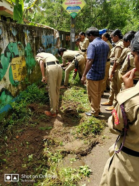 പ്രമാണം:25059 ekm ncc3.jpg