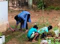 22:32, 31 ഒക്ടോബർ 2022-ലെ പതിപ്പിന്റെ ലഘുചിത്രം