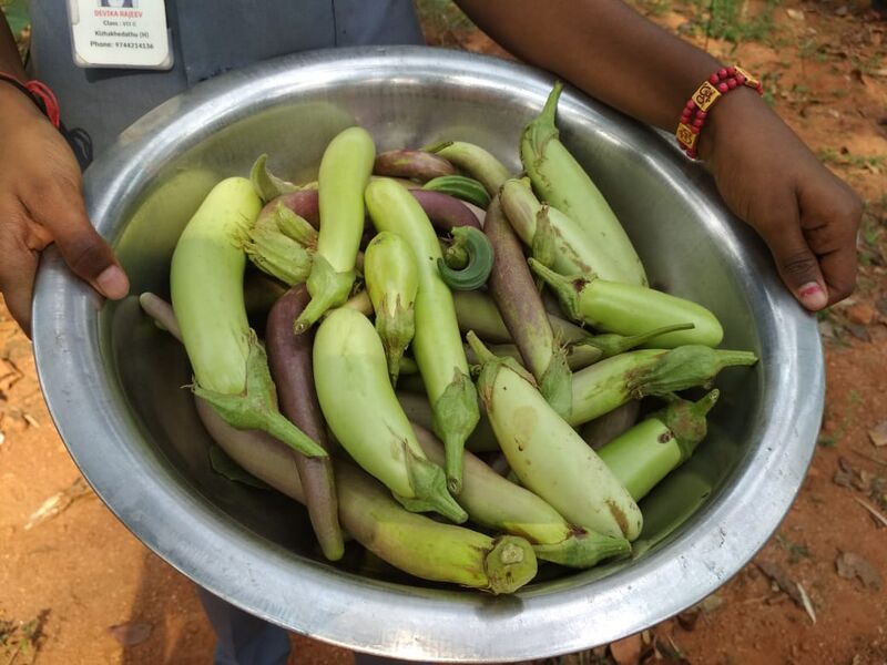 പ്രമാണം:29032 824.jpg