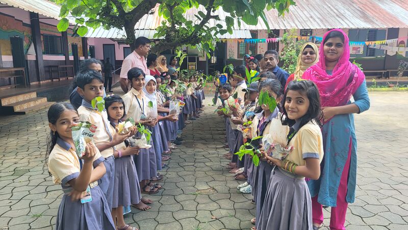 പ്രമാണം:29228 ccha.jpg