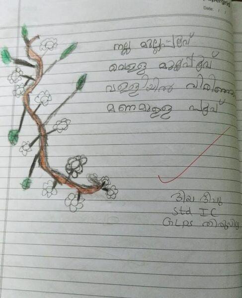 പ്രമാണം:34217-ALP-KUNJ-DEEYA DEEPU.jpeg