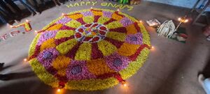 36035 ONAM3.jpg