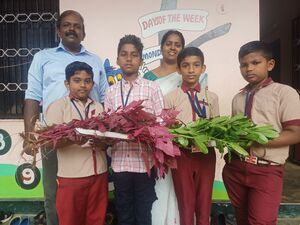44228-environmentday3.jpg