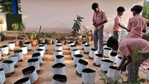 BS TVM 44066 harirh.jpeg