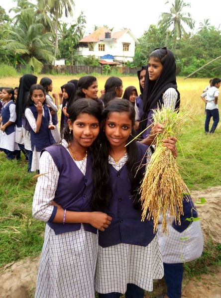 പ്രമാണം:IMG-20171106-WA0032 (1).resized.jpg