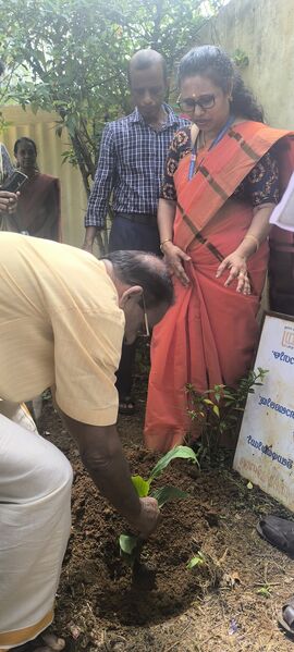 പ്രമാണം:Plantation.....jpg