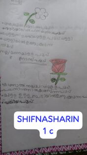 SHIFANASHARIN