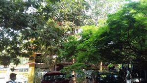 20190327 100555.resized.jpg