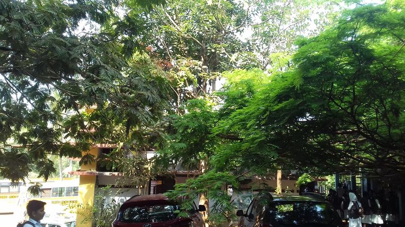 പ്രമാണം:20190327 100555.resized.jpg