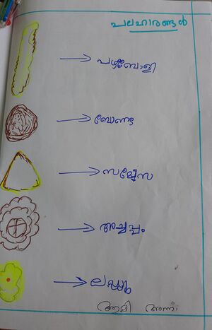 28317-EKM-KUNJ-AAMI ANNA BAIJU.jpeg