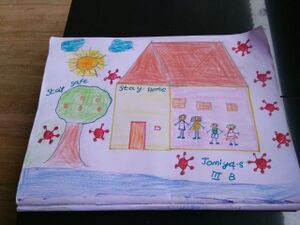 30081-Stay Home,Stay Safe.jpg