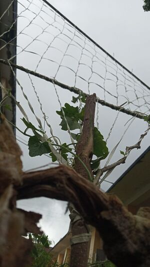 34035 UPLOADS PD6(22).jpeg