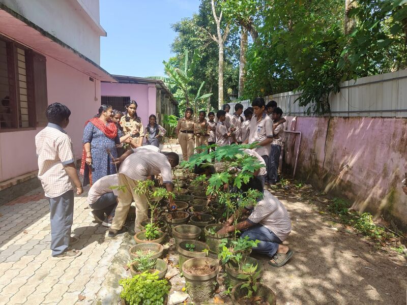 പ്രമാണം:35026 sd.jpg