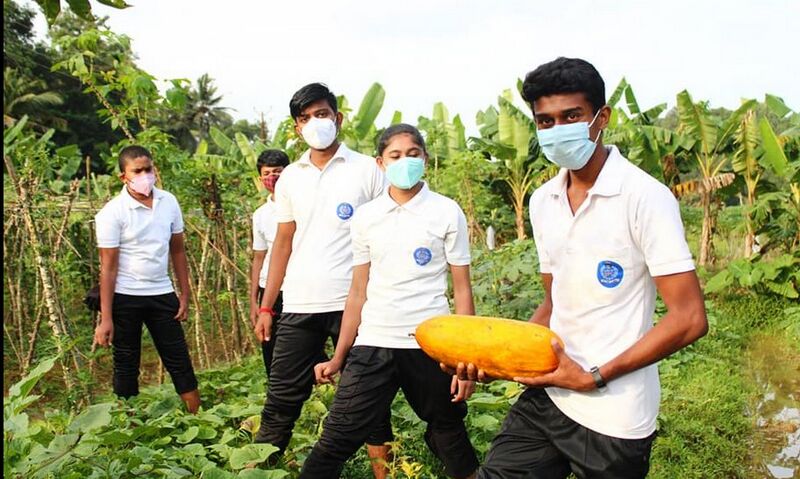 പ്രമാണം:42021 777234.jpg