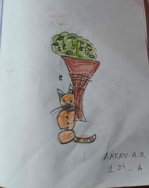 43035-TVM-AARAV A R.jpg