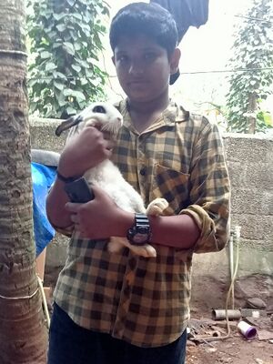 44050 22 17 s62.jpeg