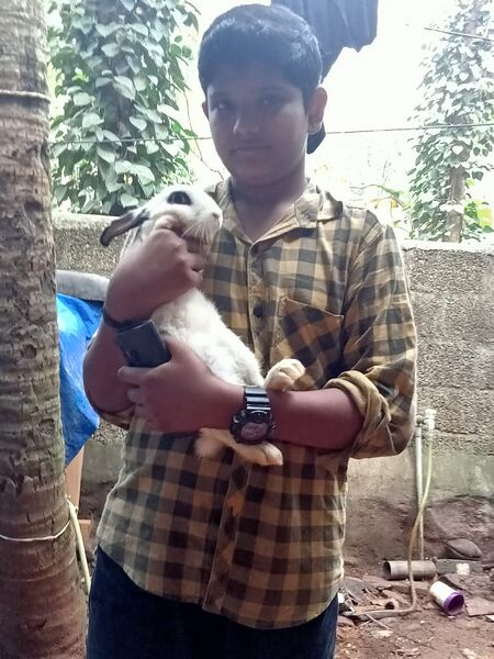 പ്രമാണം:44050 22 17 s62.jpeg