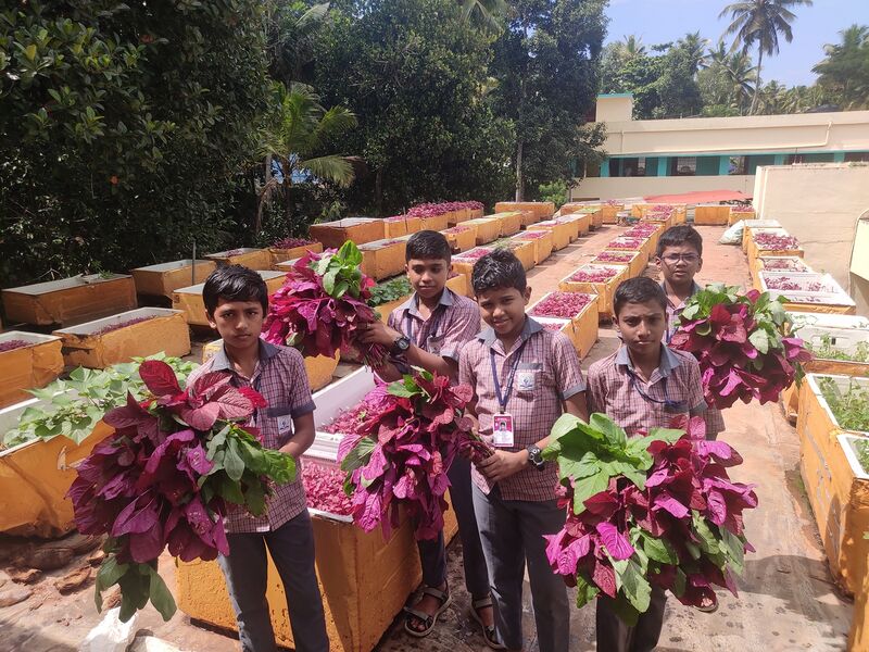 പ്രമാണം:44050 24 2 7 11.jpg