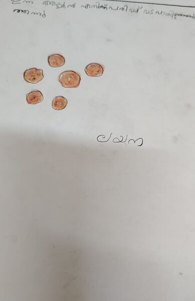 പ്രമാണം:45223-KTM-KUNJ- LAYANA.jpg