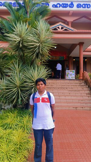 It mela 2.jpg