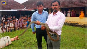 11051-SAVE WILD LIFE TRUST 20172.jpg