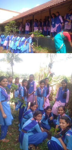 11051 ENVIRONMENTDAY20251.jpg