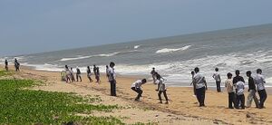 12069 ocean day2025 3.jpg