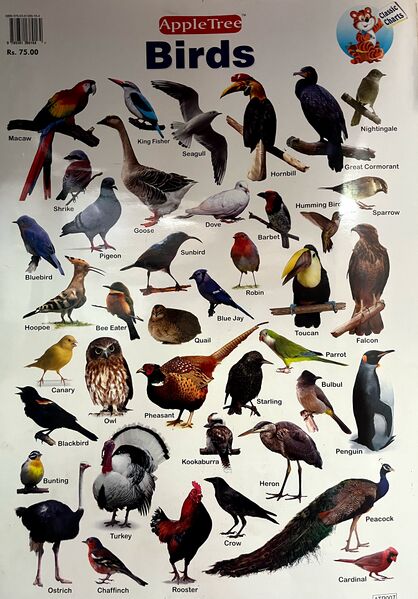 പ്രമാണം:18679 learning aids 24-25 (5).jpg