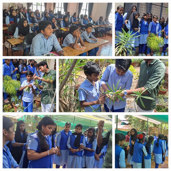 പ്രമാണം:20062 science fest.jpg