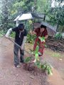 14:15, 12 ജൂൺ 2026-ലെ പതിപ്പിന്റെ ലഘുചിത്രം