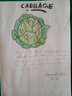 23357-TSR-KUNJ-ANAS SHA.jpg