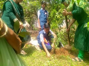 25033 environment day 2 2025.jpg